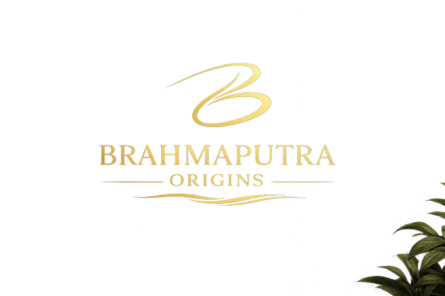 Brahmaputra Origins